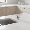 Sink Cup Rinser | High-Pressure, with six-spoke Spray Head, Quick,