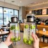 Portable Glass Tea Infuser Bottle
