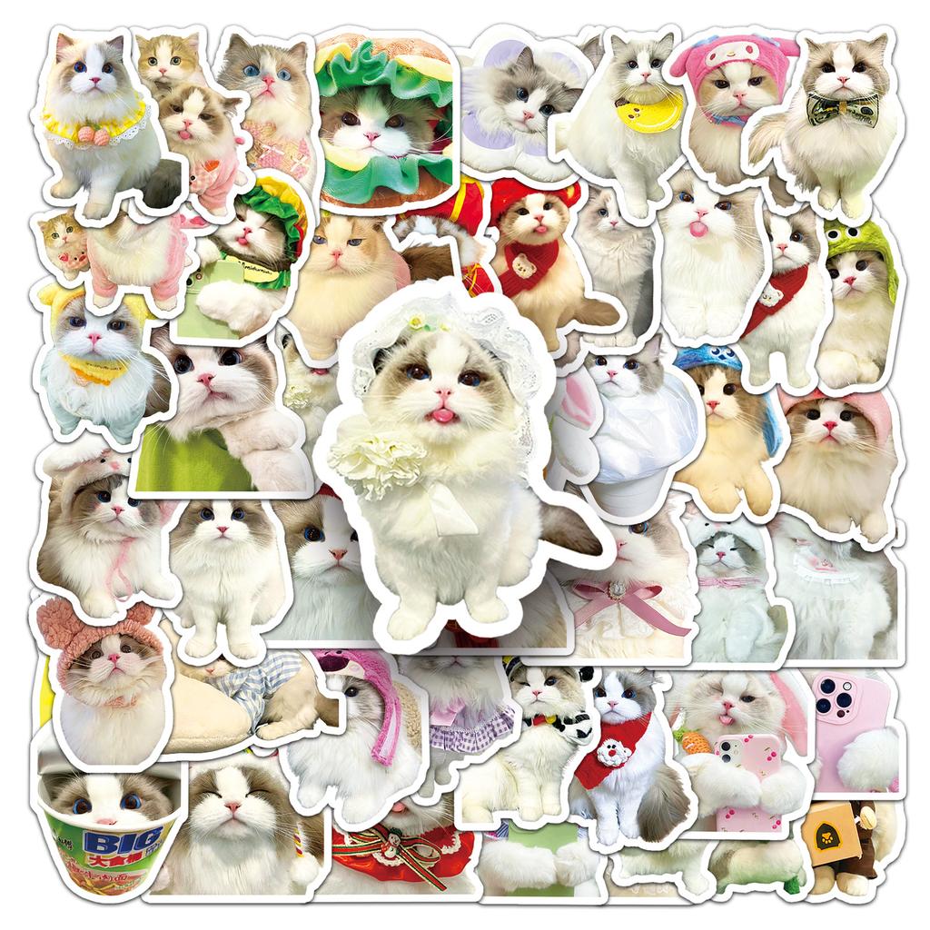 50 Ragdoll Cat Doodle Stickers Cute Kitten Ins Style Creative Decorative Water Cup Computer Mobile Case Stickers