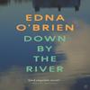 Down By The River by Edna OBrien Paperback Book 9780571397532