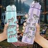 1PC Wolf Pack Silhouette Art 750ml Color Plastic Sports Water Bottle Leakproof Flip Straw Lid Suitable for Sports Office Home Use