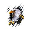 Car Sticker Cartoon Classic Animal Eagle Car Motorcycle Vinyl Sticker PVC Waterproof Sunscreen 15CM