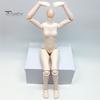 Highly Articulated Doll Body 1/6 Scale with 3 Neck Adapters, 9.8-Inch Blank Action Figure PVC Flexible Joint, Miniature Female for Custom