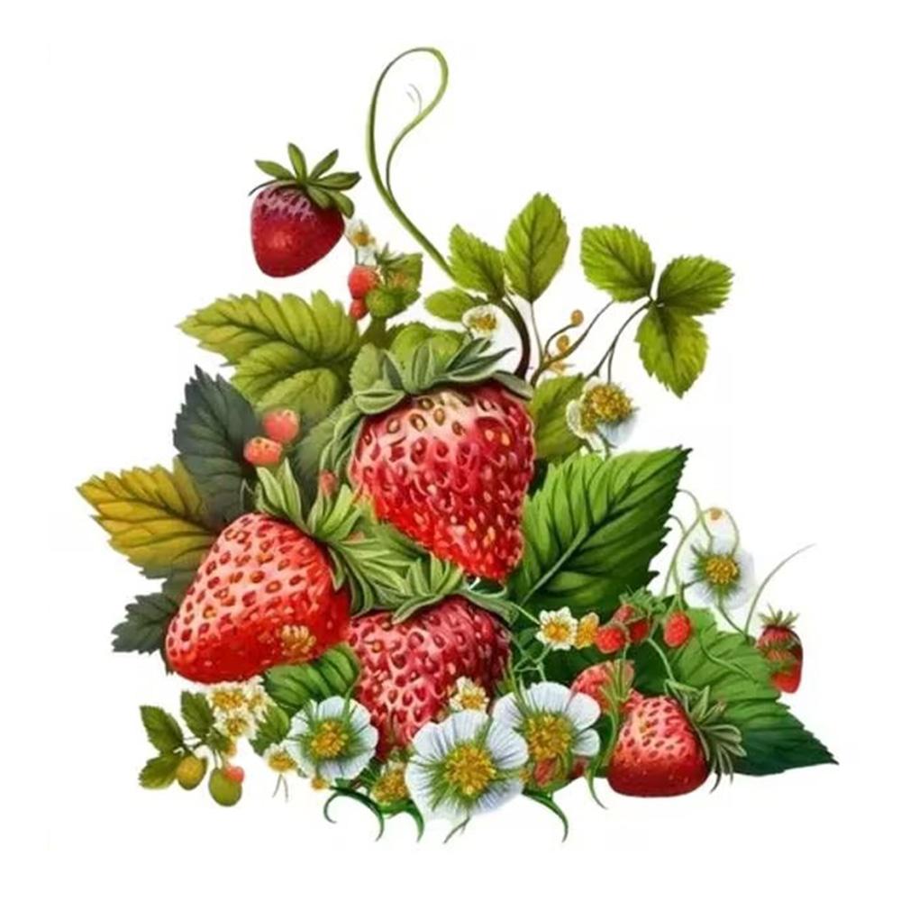 

QT2172#15cm Vibrant Strawberry Waterproof Car Decorative Decal, Suitable for Cars, Laptops, Bumpers, Glass Window Sticker 15cm-longest side