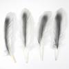 10Pcs Natural White Goose Feathers Dyed Colorful Craft Feathers  Party Costume Accessories Diy Art Supplies