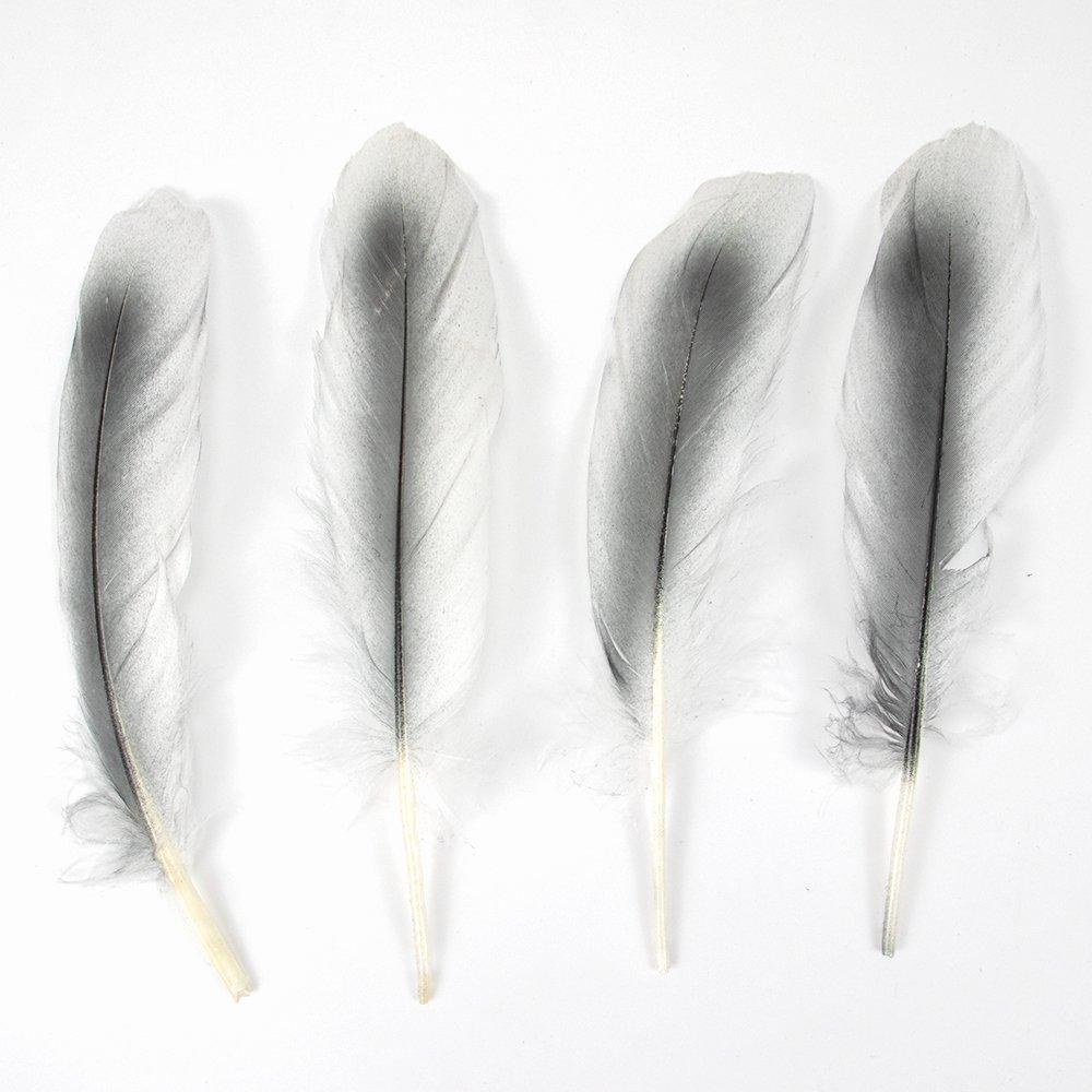 10Pcs Natural White Goose Feathers Dyed Colorful Craft Feathers  Party Costume Accessories Diy Art Supplies