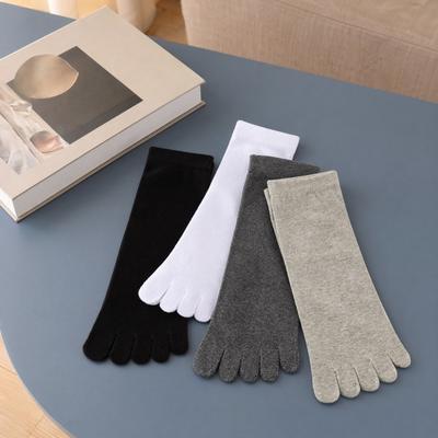 Vêtements et accessoires pour homme – Chaussettes