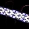 OEING Smart RGBCW LED Light String