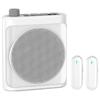 Good Shepherd Little Bee Wireless Portable Voice Amplifier CN Plug (adapter Included)
