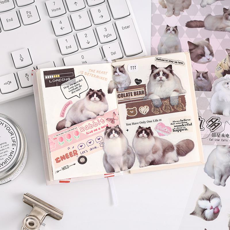 6 pcs Cute PET cat theme PET sticker bag handbag decoration stickers diy handbook material paper Scrapbooking Material