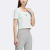 adidas Originals T Shirt Women's Symbol Green HR6911