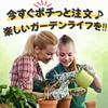 Leap Raupe pot bottom net piece pot bottom small 2L [10-year-use (1 included)] Pumice, houseplant, agave, stone, grain,