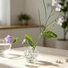 Zen-Inspired Design Glass Ball Vase Home Decor Desktop Decoration Vase Hydroponic Flower Vase  Home