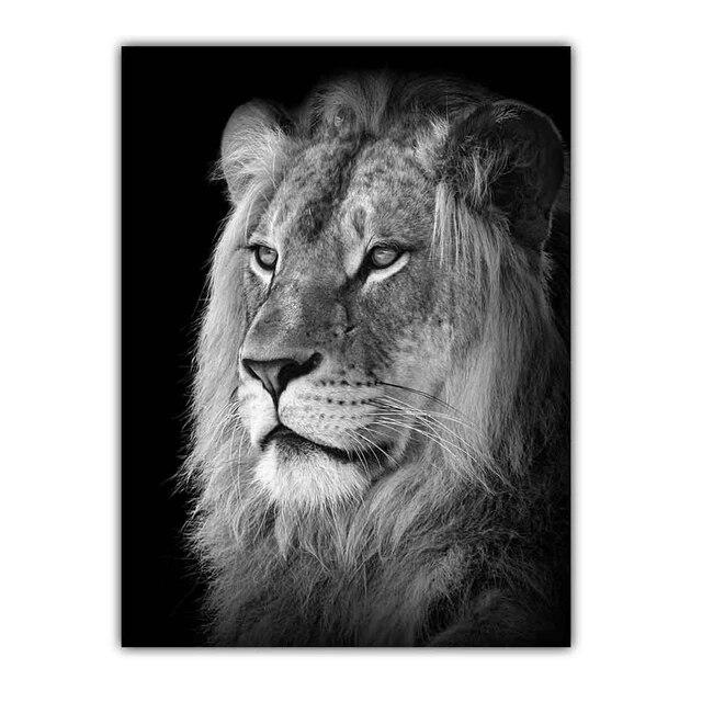 Nova pintura em tela de arte moderna nórdica animal pôster de leão preto e branco pintura de parede de escritório sala de estar decoração de casa mural sem moldura