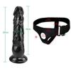 Black Wearable Realistic Soft Dildo Penis Cheap Small Anal Dildo Suction Cup Masturbators Butt Plug Toys for Women