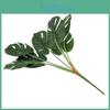 Deliciosa Monstera Plant Liebm Leaves Wall Greenery Decor Enhancement