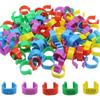 100pcs Portable Poultry Leg Tags Mixed Colour Bird Leg Sign Rings  Chicken Identification