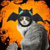 Pokrývka hlavy pro mazlíčka Roztomilý klobouk pro domácí mazlíčky ve tvaru netopýra Halloweenský kostým Měkký Pohodlný Pokrývka hlavy Kočka Psa Potřeby pro domácí mazlíčky