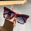 Y2K Fashion Cat Eye Sunglasses Trendy Party and Vacation Wear Hiking Travel Gradient Lens PC Frame, AC Lens, Decorative Glasses
