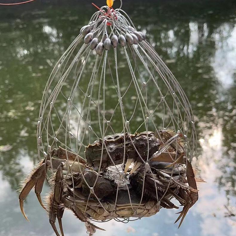 Automatic Steel Wire Crab Net: Crab Cage and Ring for Efficient Capture of Hairy Crabs