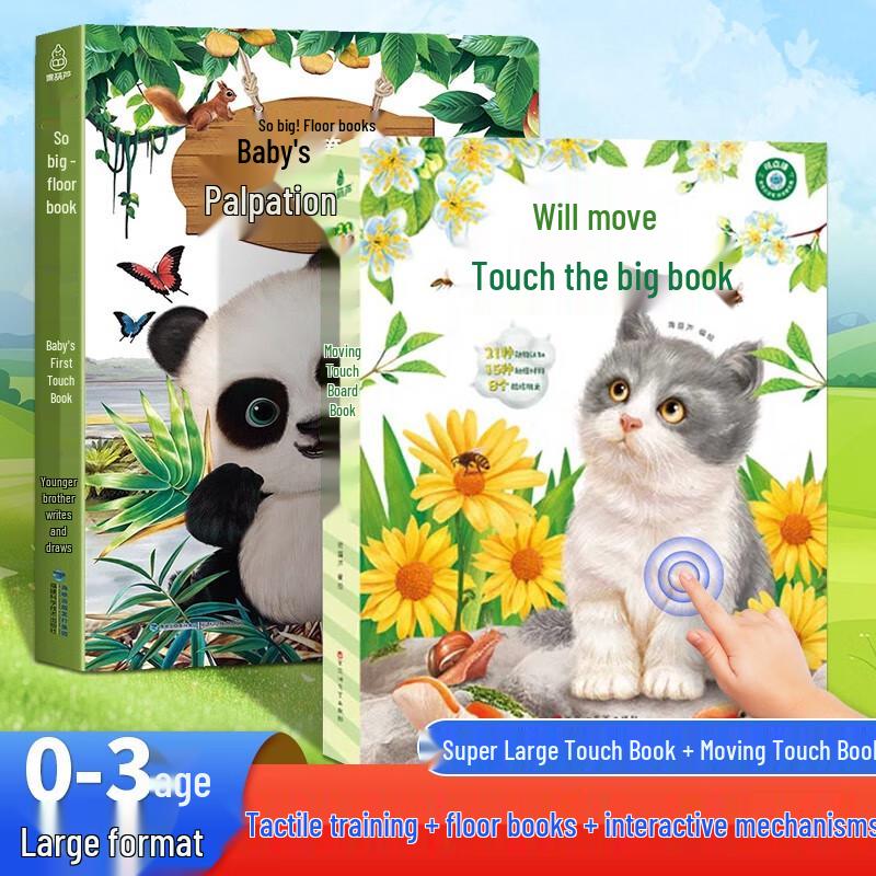 Baby s First Touch and Interactive Books Set