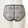 Wacoal Subtle Lace Mesh Panties Dpt0466s