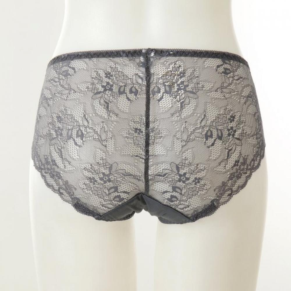 Wacoal Subtle Lace Mesh Panties Dpt0466s