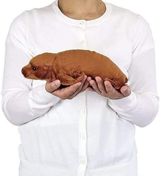 Carolata Sea Lion Plush Toy Realistic Animal Toy Doll Gift Present Birthday Christmas Present (Nestling Series/Soft Touch) (Twice Tested) /