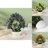 Lycopersicon Esculentum Var Potted Plant Artificial Decor For Wedding And Home Decoration