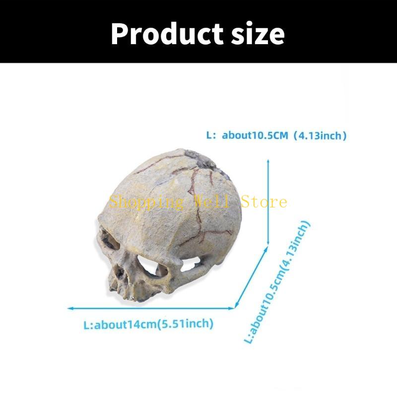 KX4B Resin Skull Figurine Reptiles Hideouts Caves Fishtanks Terrariums Accessories for Geckos Bearded Dragon Snake