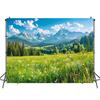 2D Mountain Forest Meadow Backdrop Spring Nature Party Photo Booth Background