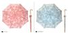 Makita Shoten Luxury Long Umbrella Blue Green "kirie Sarasa"