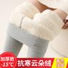 Women High Waist Thickened Fleece Thermal Leggings Outer Wear Winter Warm Pants