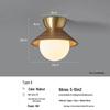 Walnut New Chinese Style Entrance/Balcony LED Ceiling Light