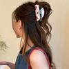 Acetate Acetic Acid Hair Claw Korean Style Geometry Hair Crab Clip Cherry Shark Clip  Headwear