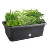 ELHO Bac à fleurs de culture Green Basics Large - L 76 x B 57 x H 27 cm - Culture et récolte - Extérieur - 100% recyclé - Noir