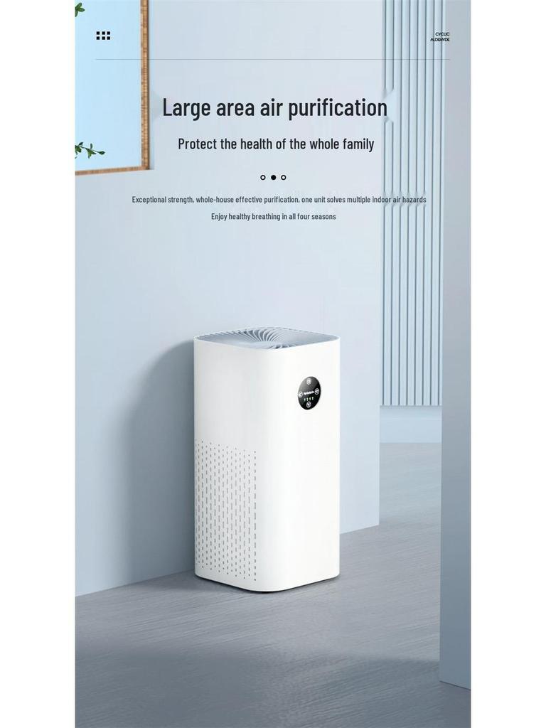 Negative Ion Air Purifier for Rice Products; Removes Formaldehyde, Smoke, Odors, and Indoor Haze—Ideal for Home and Dorm Use.