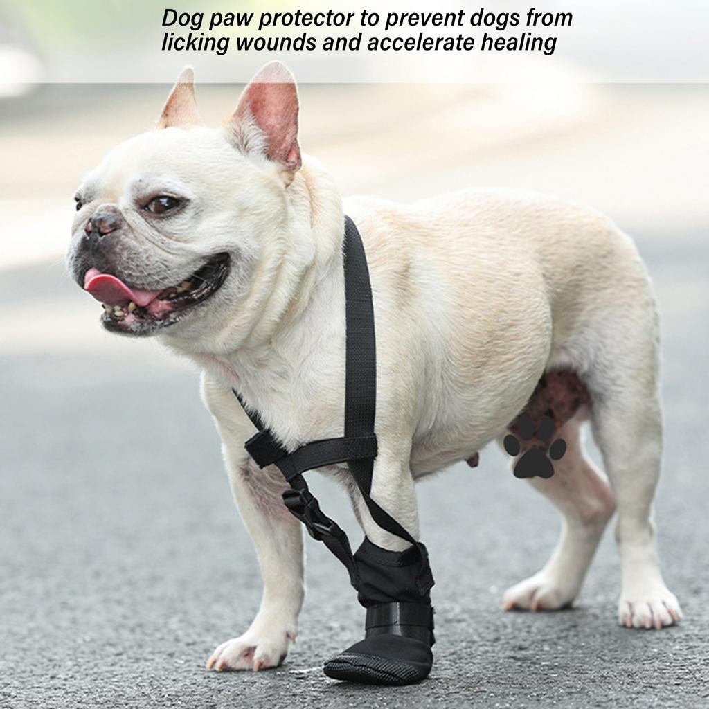 Schützender Vorderpfotenstiefel für Hund Verstellbarer Riemen Hundeschuhe Wasserabweisendes Hundeschuhwerk für Pfote nach Operation Erholung