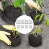Stainless Steel Plant Root Protection Bags 8 Pieces Two Sizes 23 25cm and 35 35cm for Root Safety and Pest Defense