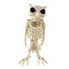 Halloween Decoration Mini Skeleton Bone Statues Poseable Rat Dog Spider Cat Owl Skeleton Figurine for Haunted House Party Decor