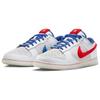 Nike Dunk Low Year of the Rabbit Men's FD4203-161