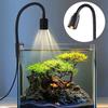 Adjustable Zoom Mini Clip-on Aquarium Lamp Adjustable Focus Spotlight  South American Fish Tank