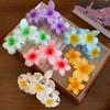 Gradient Design Hair Clip Claws Plumeria Shark Hair Claw Colorful Gradient Flower Clips  Girls Gift