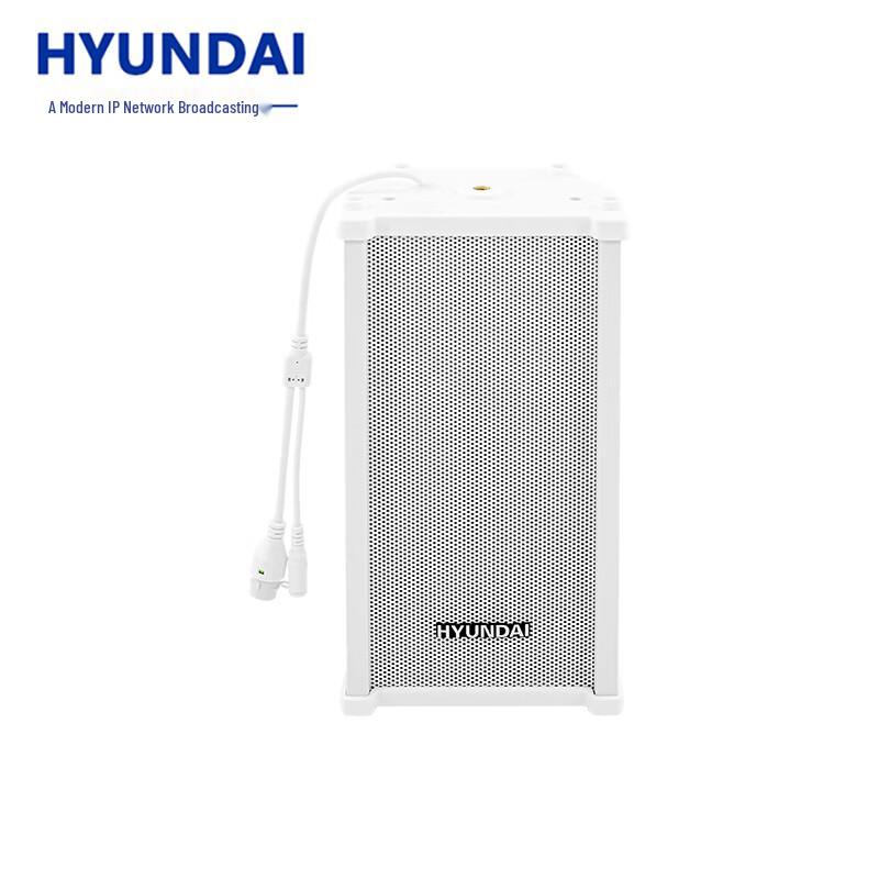 Hyundai IP Network Broadcasting Audio Systems CN plug (adapter included)