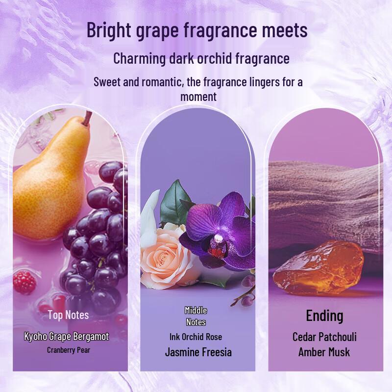 lux Floral Fragrance Shampoo and Grape Shower Gel Set