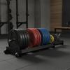 Exercise Disc Storage Rack with Wheels Heavy-Duty Mobile for