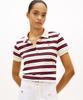 Tommy Hilfiger Multi-Stripe Polo Shirt (T22G1Tpi053Wt103L)