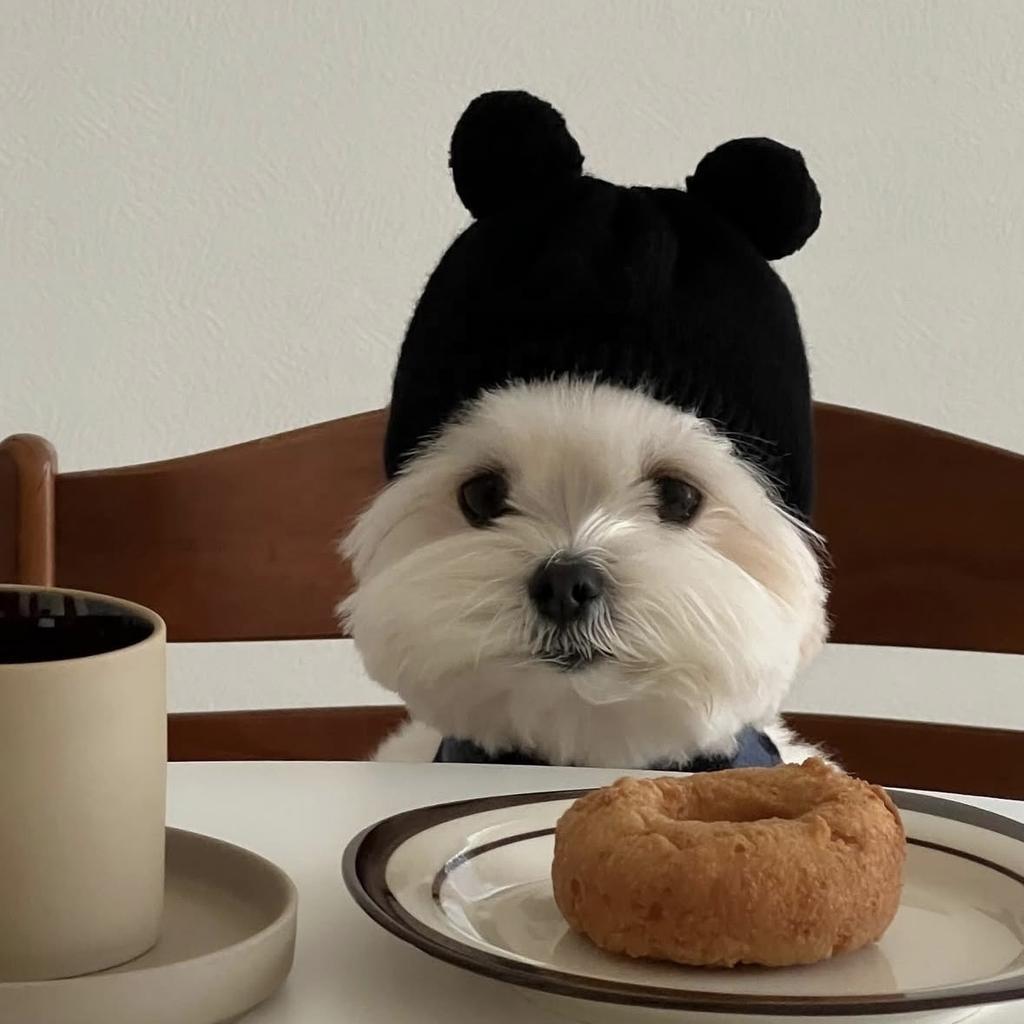 Pet Warm Pom-Pom Knitted Hat for Autumn/Winter Cute Decoration for Cats Dogs Rabbits & Teddy Bears