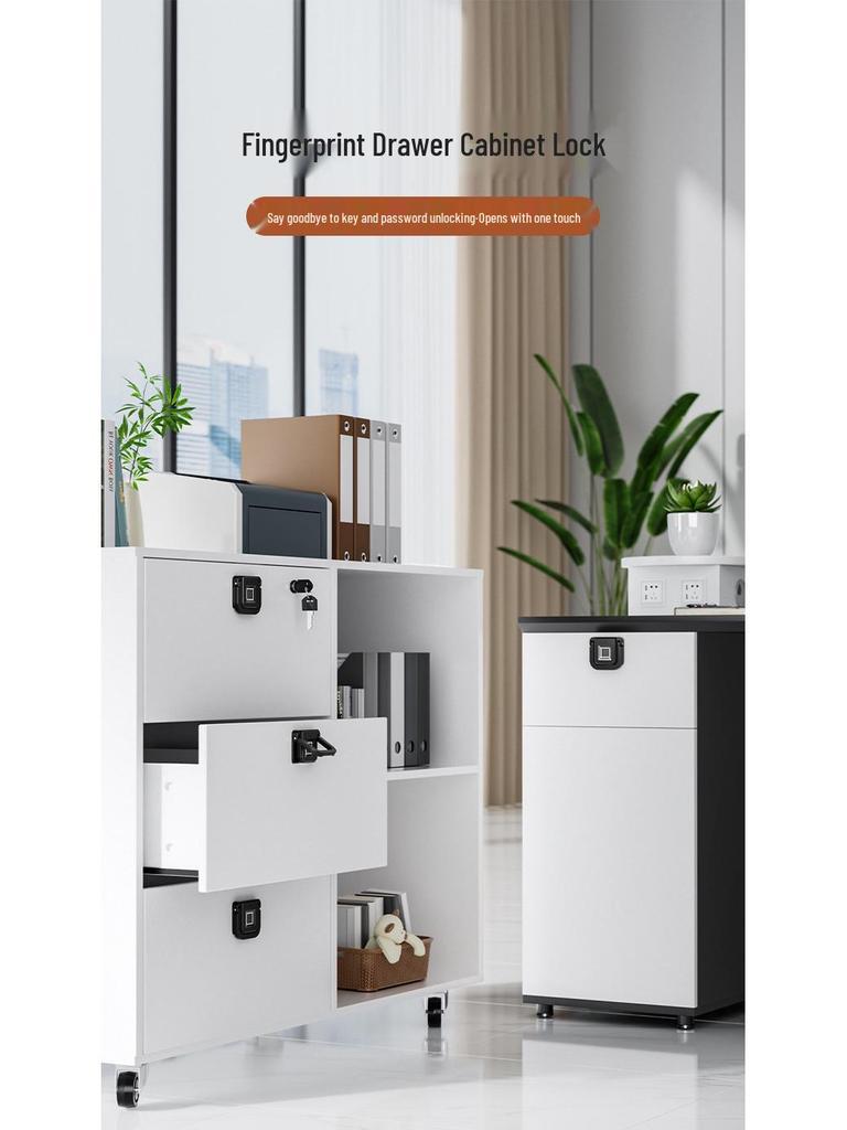 Smart Electronic Fingerprint & Password Lock for Drawers & Cabinets