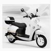 Rear Foot Peg for Luyou Aima Lvyuan Electric Vehicle - European Version